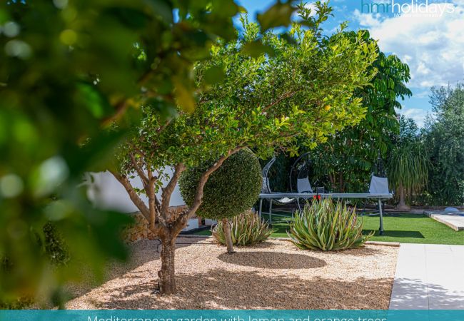 Villa en Moraira - Villa La Colina Villa en Moraira - Villa La Colina